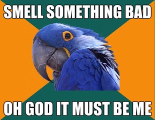 Paranoid Parrot