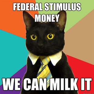 Business Cat