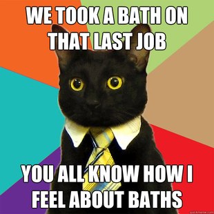 Business Cat
