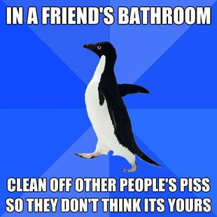 Socially Awkward Penguin