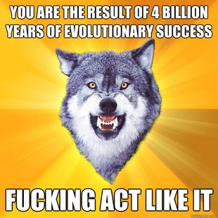 Courage Wolf