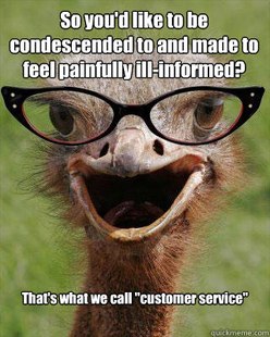 Judgmental Bookseller Ostrich