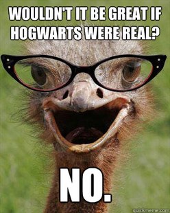 Judgmental Bookseller Ostrich