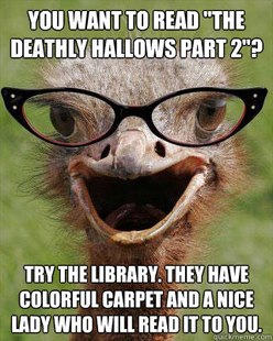 Judgmental Bookseller Ostrich