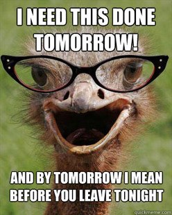 Judgmental Bookseller Ostrich
