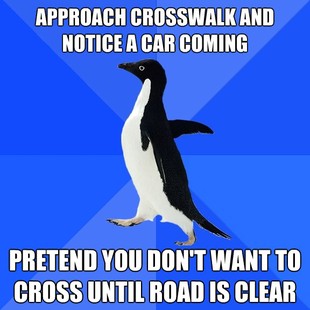 Socially Awkward Penguin