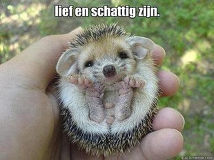 Egel