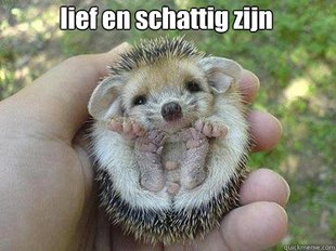 Egel