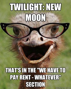 Judgmental Bookseller Ostrich