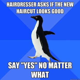 Socially Awkward Penguin