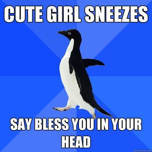 Socially Awkward Penguin