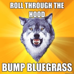 Courage Wolf