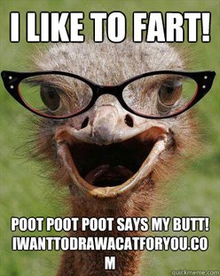 Judgmental Bookseller Ostrich