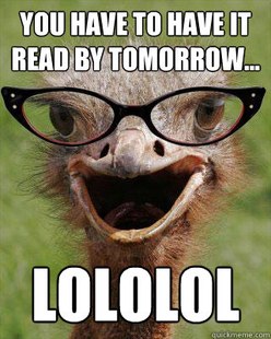 Judgmental Bookseller Ostrich