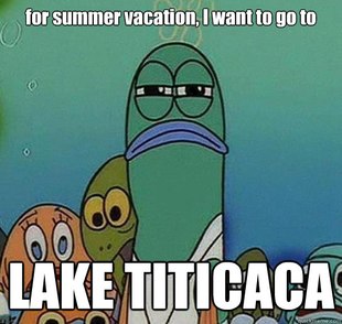 Serious fish SpongeBob