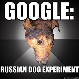 Depression Dog