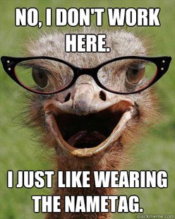 Judgmental Bookseller Ostrich