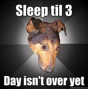 Depression Dog