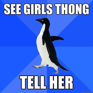 Socially Awkward Penguin