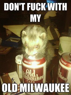 Old Milwaukee Ferret