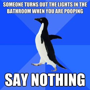 Socially Awkward Penguin