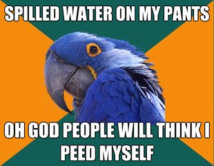 Paranoid Parrot