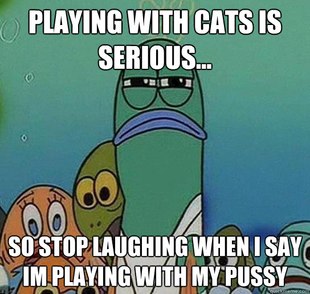 Serious fish SpongeBob