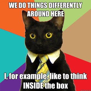 Business Cat