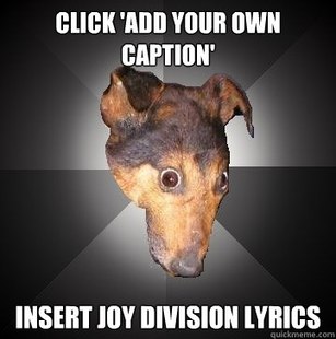 Depression Dog