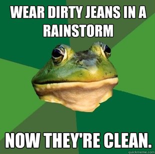Foul Bachelor Frog