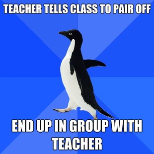 Socially Awkward Penguin