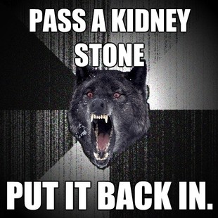 Insanity Wolf