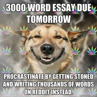 Stoner Dog