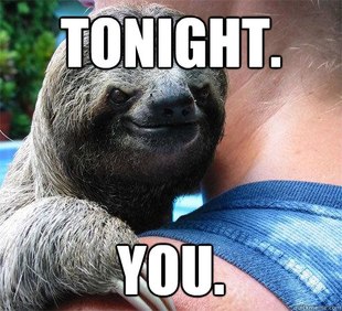 Suspiciously Evil Sloth
