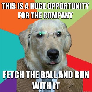 Business Dog