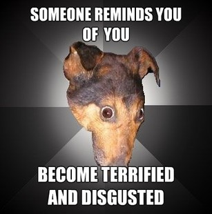 Depression Dog