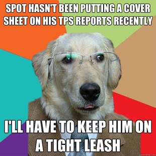 Business Dog