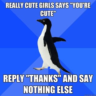 Socially Awkward Penguin