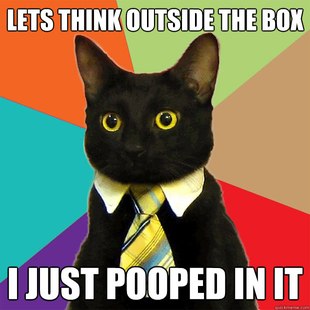 Business Cat