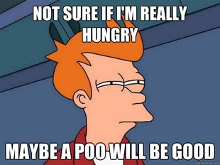 Futurama Fry
