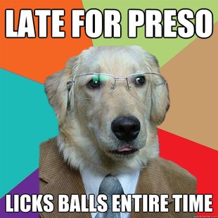 Business Dog