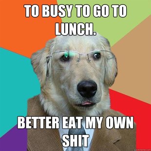 Business Dog
