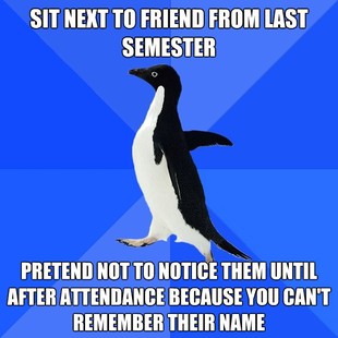 Socially Awkward Penguin