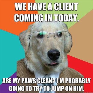 Business Dog