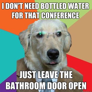 Business Dog