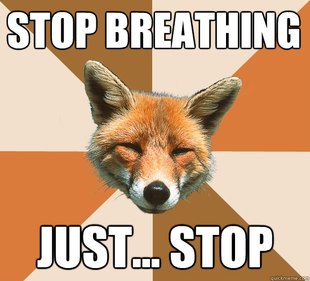 Condescending Fox