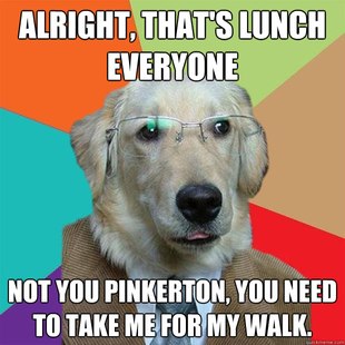 Business Dog