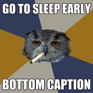 Art Student Owl