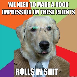 Business Dog