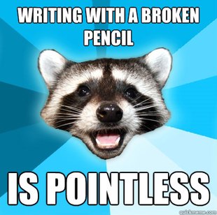 Lame Pun Coon